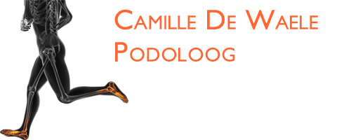 Camille De Waele